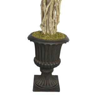Laura Ashley Home Tall Willow Ficus Multiple Trunks Tree in Urn
