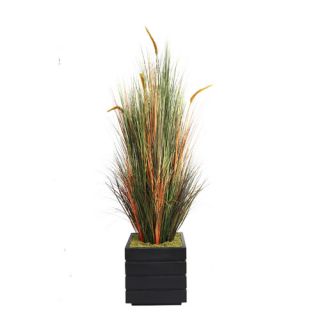 Tall Onion Grass with Cattails in Fiberstone Planter