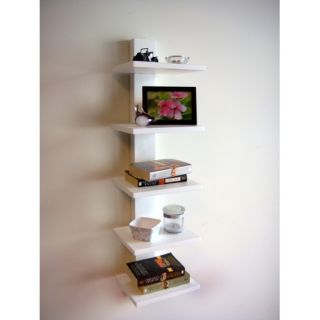 Spine Wall Book Shelf
