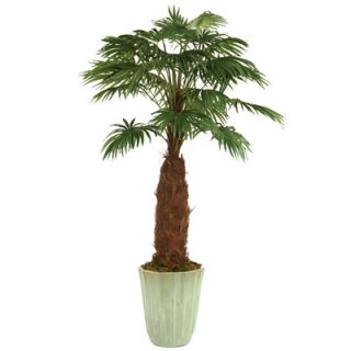 Distinctive Designs 96 Fan Palm in Large Fluted Stoneware Planter