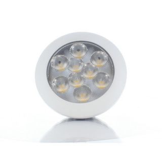 Collection LED 17W Daylight LED PAR38 Bulb