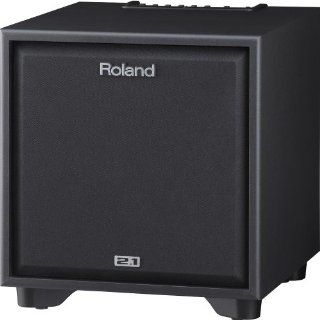 Roland CM 220 Cube Monitor Speaker System Musical Instruments