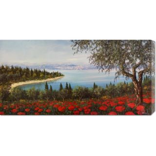 Global Gallery Papaveri Sulla Baia by Tebo Marzari Stretched Canvas