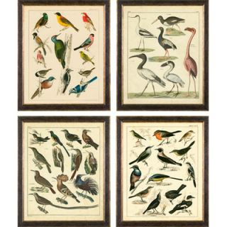 Phoenix Galleries Aviary on Canvas Framed Prints