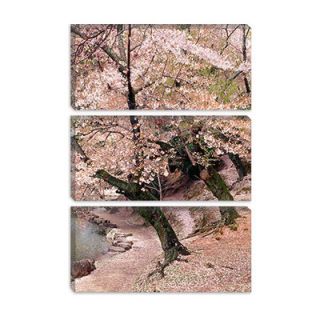 iCanvasArt Cherry Blossom Lane Canvas Wall Art by Monte Nagler