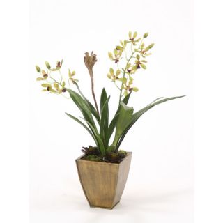 Distinctive Designs Silk Vanda Orchid with Foliage and Succulents in