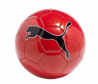 Puma USA Big Cat II Soccer Ball  Sports & Outdoors