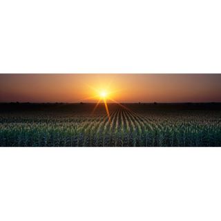 iCanvasArt Sunrise, Crops, Farm, Sacramento, California Canvas Wall