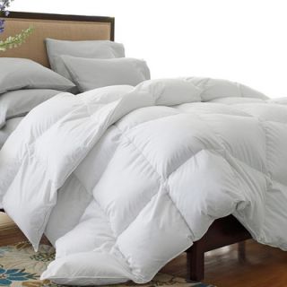 Oversized 330 Thread Count All Seasons Down Blend Comforter