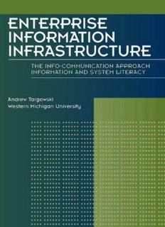Enterprise Information Infrastructure (9780536023162) Andrew Targowski, Allen D. Kozlowski Books