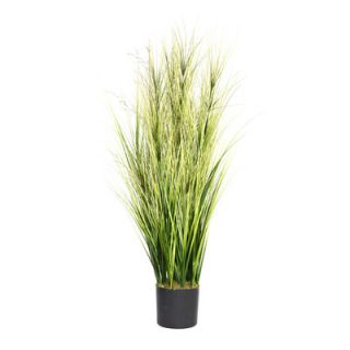 Laura Ashley Home Onion Grass with Twigs