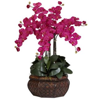 Nearly Natural Large Phalaenopsis Silk Flower Arrangement in Beauty