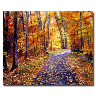 Trademark Fine Art Leaf Covered Road by David Lloyd Glover Painting