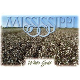 Mississippi Postcard 12334 White Gold   Case Pack 750 SKU PAS382040