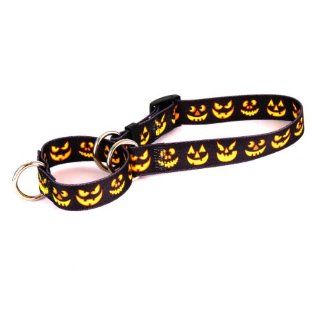 Yellow Dog Design Martingale Pet Collar, Medium, Jack O' Lantern  Pet Choke Collars 