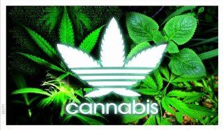 ADV PRO ba765 Cannabis Marijuana Weed High Life Banner Sign   Prints