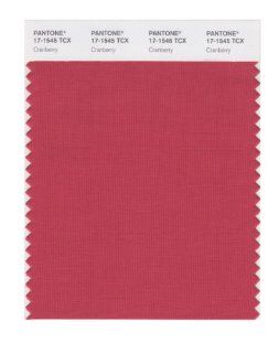 PANTONE SMART 17 1545X Color Swatch Card, Cranberry   Wall Decor Stickers  