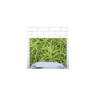 Noyo Home Panel Headboard Grass Size Twin