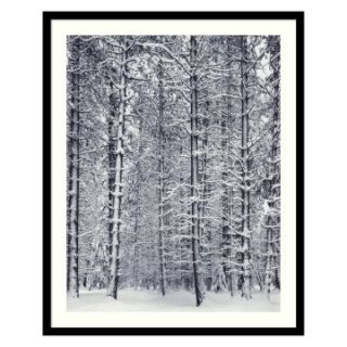 Pine Forest in the Snow, Yosemite National Park Framed Wall Art by Ansel Adams   Photography