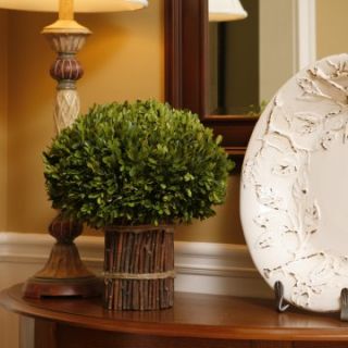 Preserved Boxwood Topiary with Willow Stand   Silk Plants