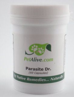 Petalive Parasite Dr Prevent Intestinal Parasites  Pet Digestive Remedies 