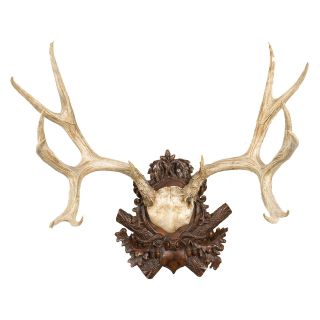 Oklahoma Casting Mule Deer Antler Wall Art   Wall Sculptures and Panels