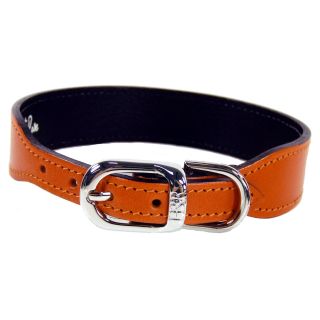 Hartman & Rose Italian Leather Dog Collar   Tangerine   Dog Collars