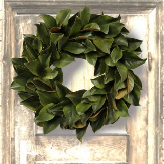 Jane Seymour Green Magnolia 24 in. Wreath   Wreaths