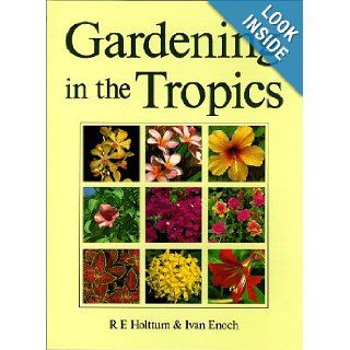 Gardening in the Tropics R. E. Holttum, Ivan Enoch 9780881923094 Books