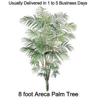 SPJPLANTS 8 foot Silk Artificial Areca Palm Tree Plant with 861 leaves  