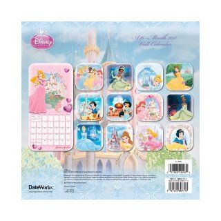 Disney Princess 2011 Wall Calendar with DVD DateWorks 9781438807713 Books