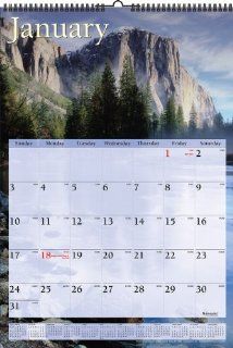 Visual Organizer Recycled Scenic Monthly Wall Calendar, 15 1/2 x 22 3/4 Inches, 2011 (DMW201 28) 
