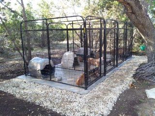 4' X 6' Welded Wire Multiple Dog Kennel For Three  Pet Kennels 