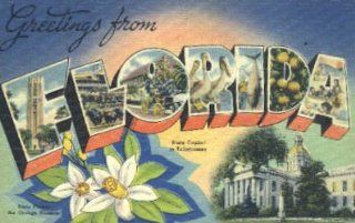 Greetings from, Florida Postcard   Blank Postcards