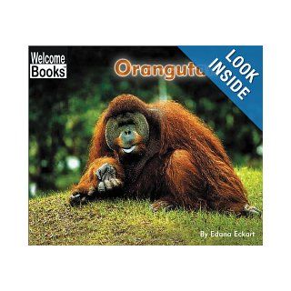 Orangutan (Welcome Books Animals of the World) (9780516242996) Edana Eckart Books