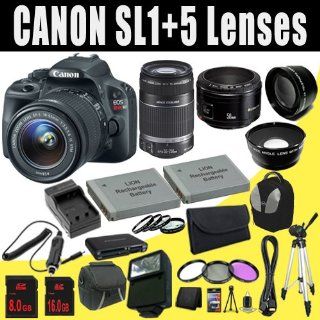 Canon EOS Rebel SL1 18.0 MP CMOS Digital SLR with 18 55mm EF S IS STM + EF S 55 250mm f/4.0 5.6 IS Telephoto Zoom + EF 50mm f/1.8 II SL1 Lens + LP E12 Replacement Lithium Ion Battery+ External Rapid Charger + 8GB+16GB SDHC Class 10 Memory Card + 58mm Wide