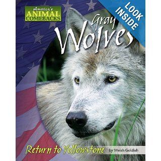 Gray Wolves Return to Yellowstone (America's Animal Comebacks) Meish Goldish 9781597165020 Books