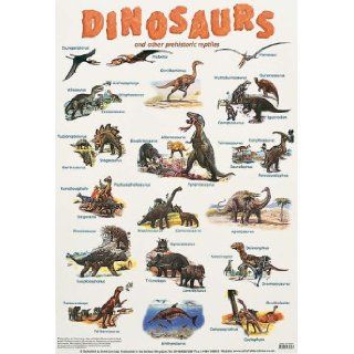 Dinosaurs (Laminated posters) Patrick Mcgee 9780721755427 Books