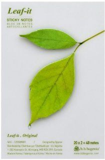 b.b.begonia Leaf_ Birch Sticky Notes, Green, Medium (C209GM001)  Sticky Note Pads 