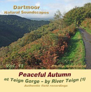 Dartmoor Natural Soundscapes   Volume 11 Music