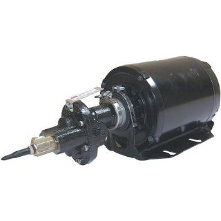 Dayton 4KHP6 Rotary Gear Pump, Cast Iron, 1/3 HP Sump Pumps