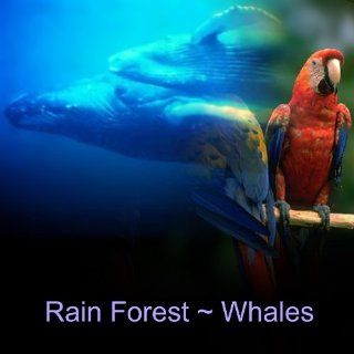 Nature Sounds Rain Forest   Whales Soothing Relaxation CD No Music Added Music