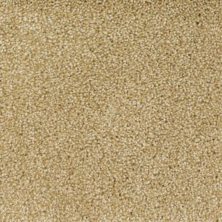 Dixie Group Trusoft Shafer Valley 115 Yellow Cut Pile Indoor Carpet
