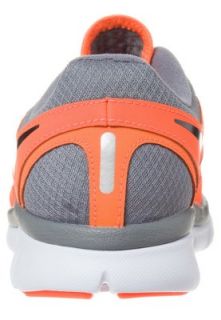 Nike Performance   FLEX 2013 RUN   Sports shoes   grey