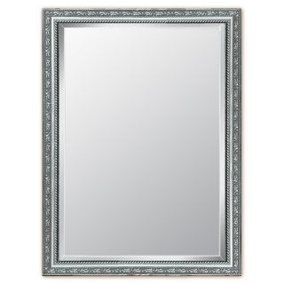 Style Selections 30 in x 40 in Silver Rectangular Framed Wall Mirror