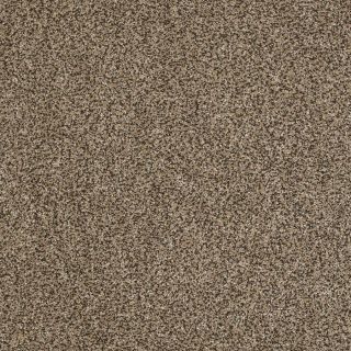 STAINMASTER Essentials Stone Mountain 1 Gold Topaz Textured Indoor Carpet