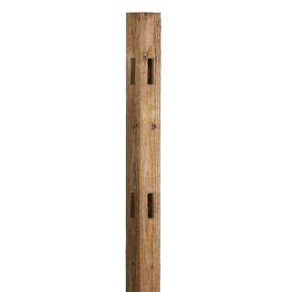 Split Rail Pressure Treated Wood Fence Corner Post (Common 5 ft; Actual 5.33 ft)