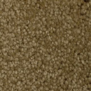 STAINMASTER Solarmax Westwind Harmony Textured Indoor Carpet