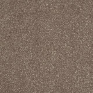 Shaw 7L52200703 Brown Textured Indoor Carpet