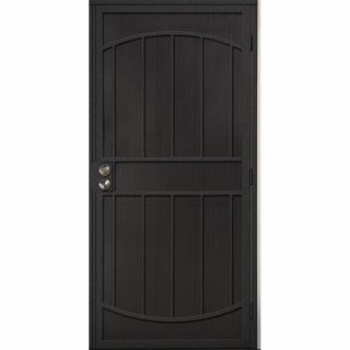 Gatehouse Gibraltar Silver Steel Security Door (Common 81 in x 32 in; Actual 81 in x 35 in)